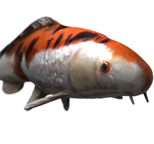 3D Koi Fish